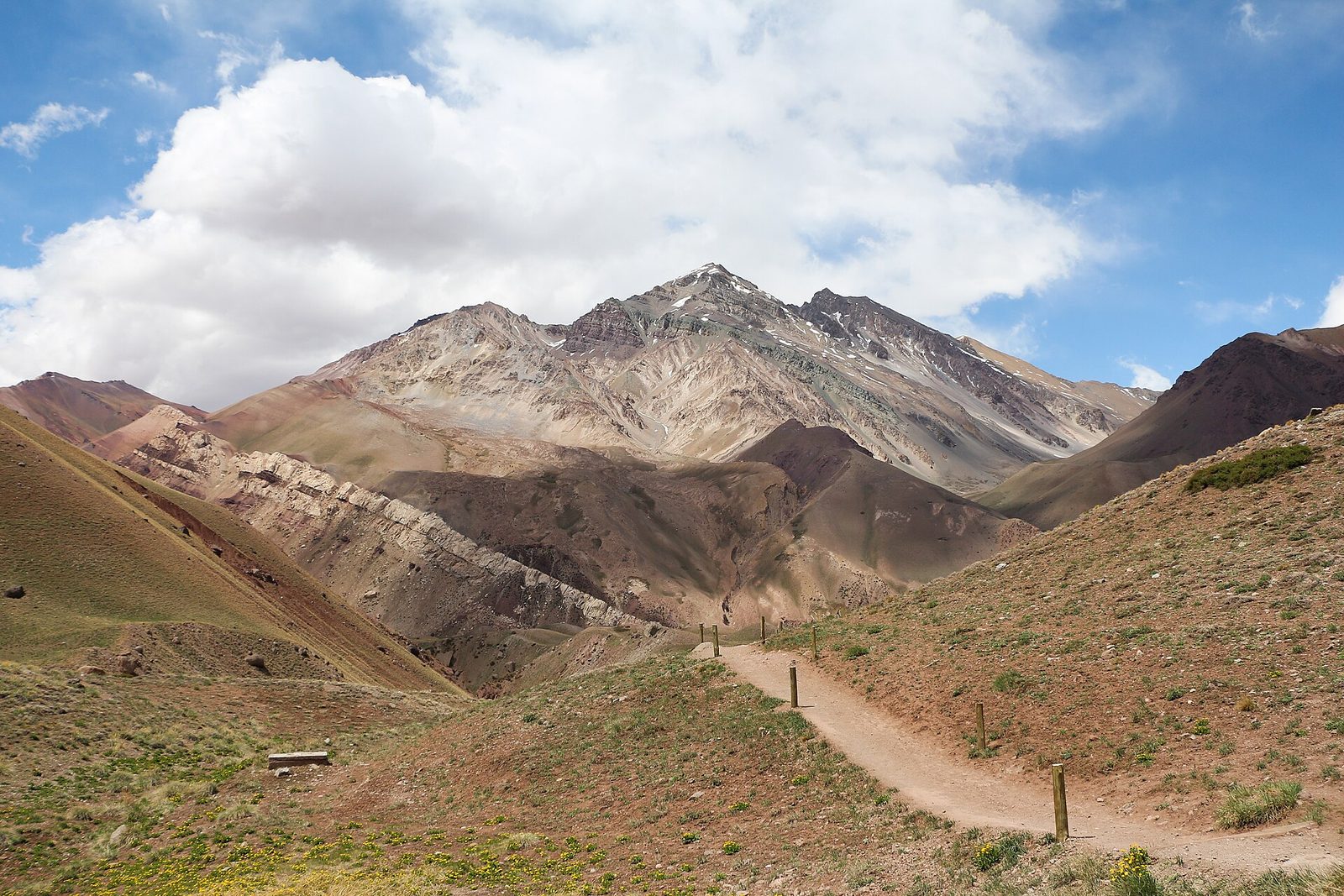 Alta Montaña