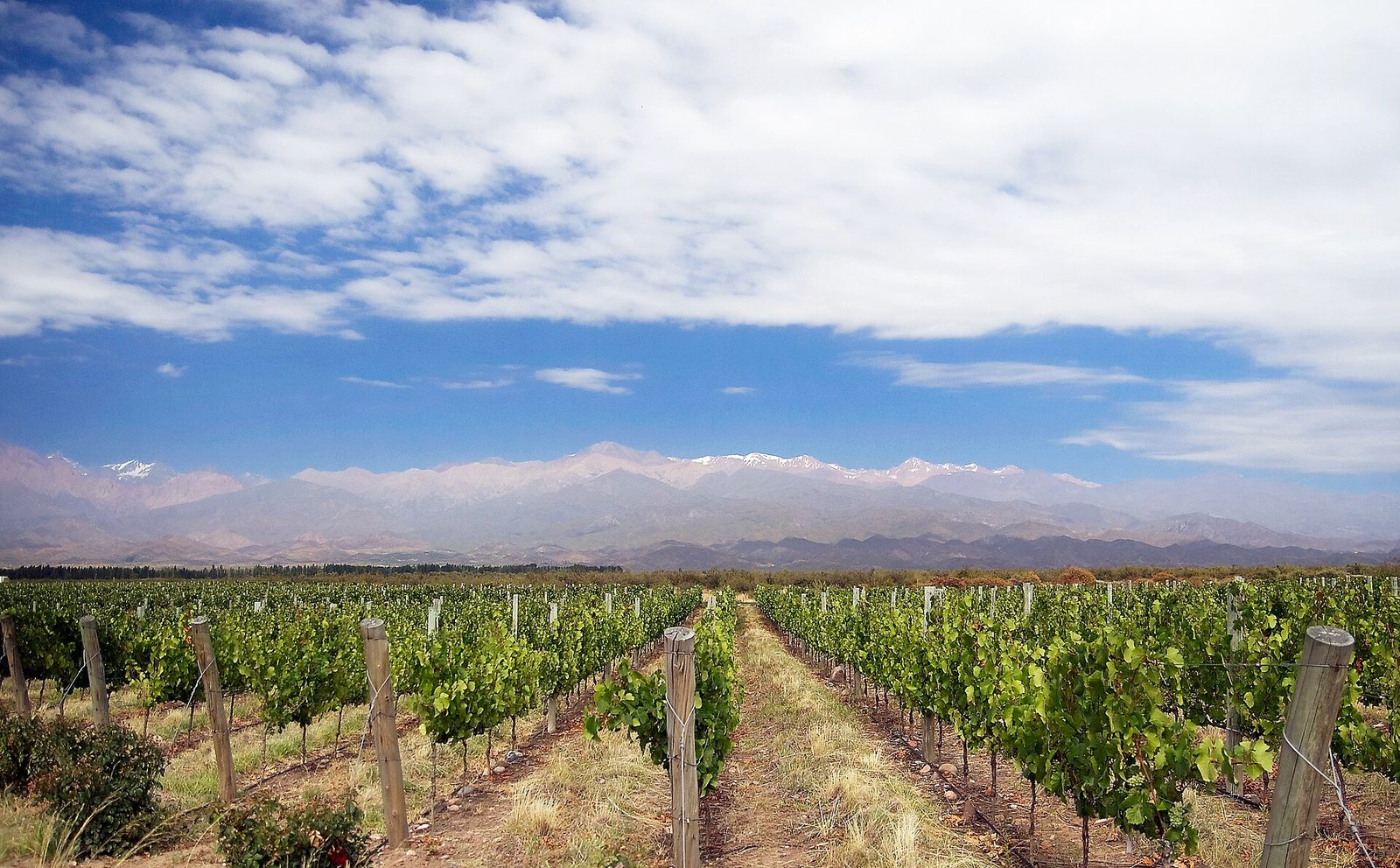 Excursiones y tours en Mendoza